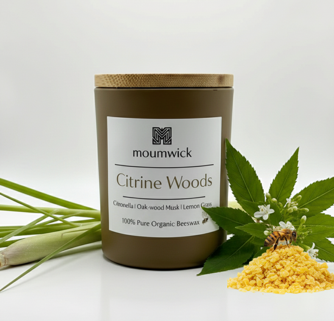 Citrine Woods | 6.5 oz ( 100% organic beeswax candle🐝)
